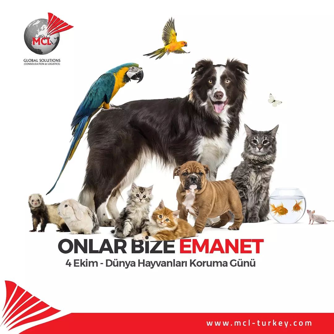 Onlar Bize Emanet.. 4 Ekim  Dünya Hayvanları Koruma Günü